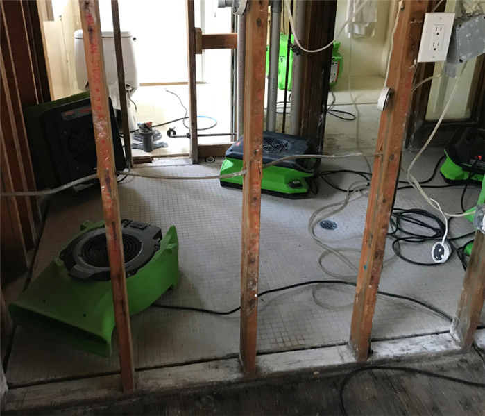 Mold remediation in East Hanover, NJ.