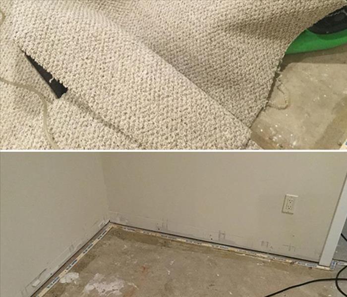 carpet was ripped up and remediated for mold