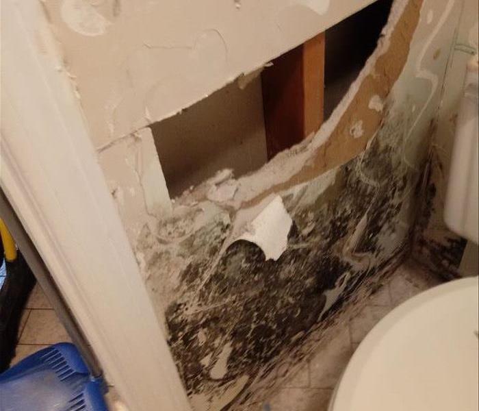 drywall on side of toilet water damaged, with mold and broken drywall can see studs