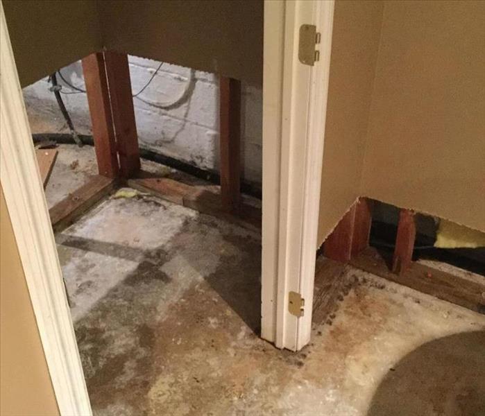Flood cuts were made to help dry water damage, as well as help in the mold removal and remediation process.