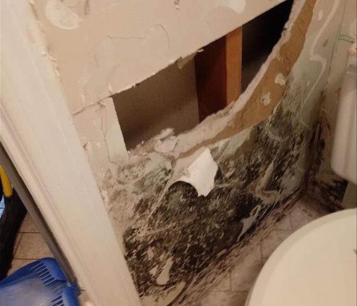 hole in drywall with mold stain and debris