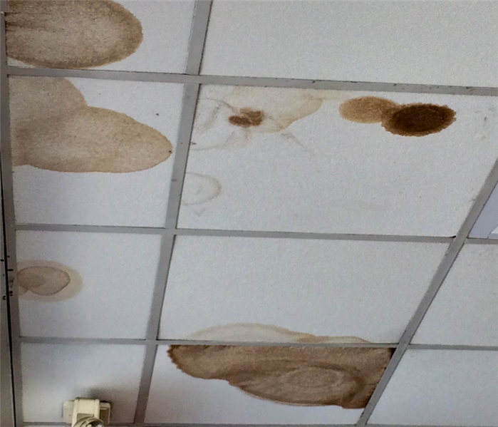 photo of brown water stains on the ceiling tiles of an office