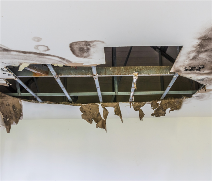 Roof leak in commercial building in Madison, NJ.