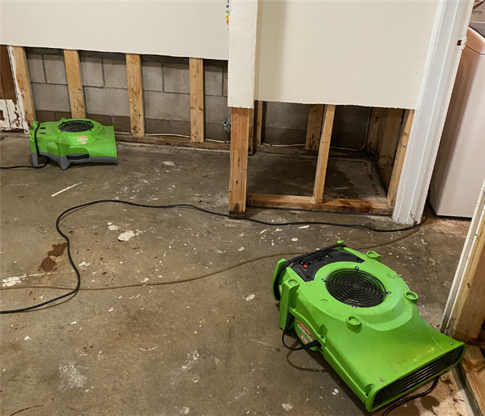 Rapid Basement Water Removal Near Me in Madison, NJ