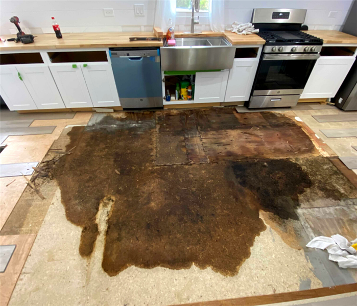 water damage from leaking dishwasher cleanup near me new jersey